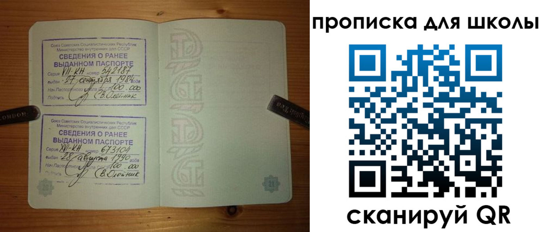 прописка для школы в Райчихинске